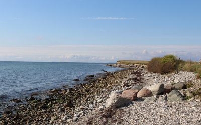 Gå med på Kaninoen eller Mini-Kaninoen i efterårsferien