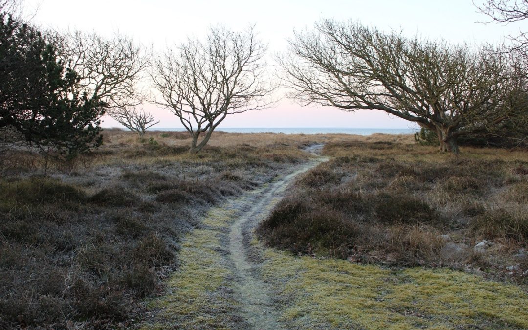 Writers Walk – Skriv på din gåtur