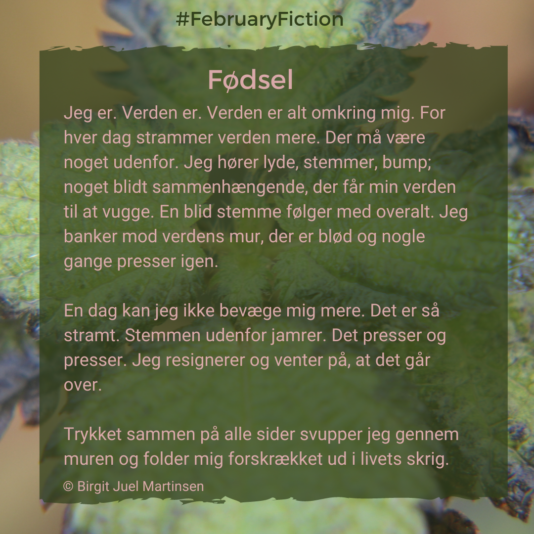 February fiction Fødsel